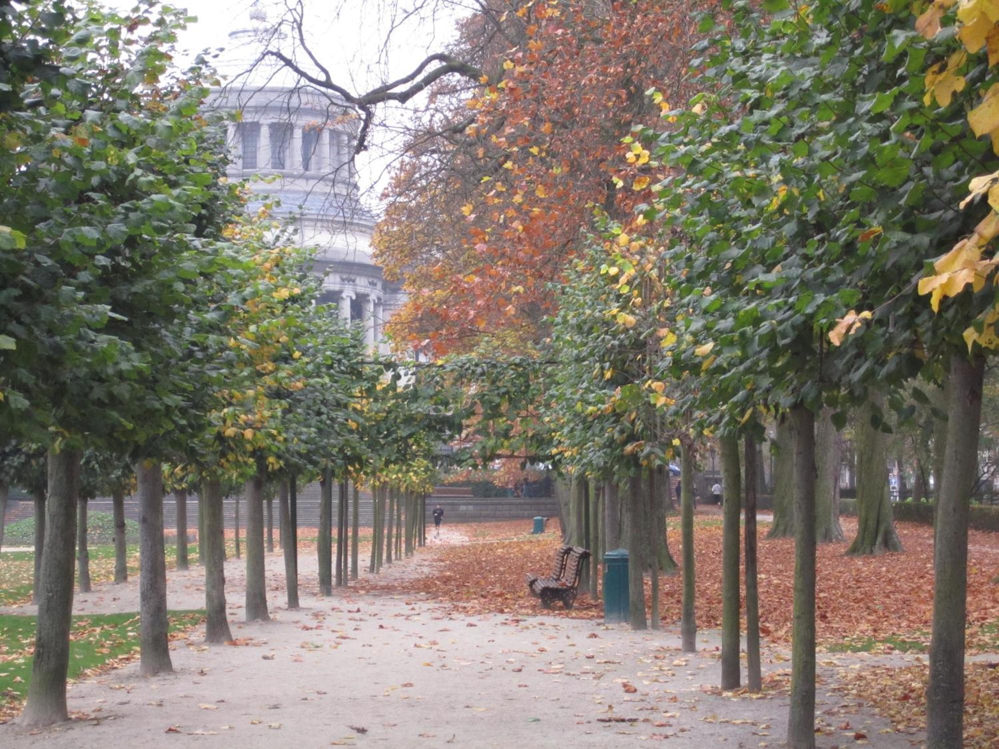 B&B A Cote Du Cinquantenaire Брюссель Екстер'єр фото